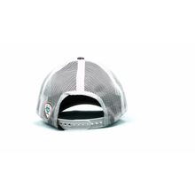 Load image into Gallery viewer, ARIAT Kid's Aztec Logo Snapback Cap Gray Size One Size | 701340602939