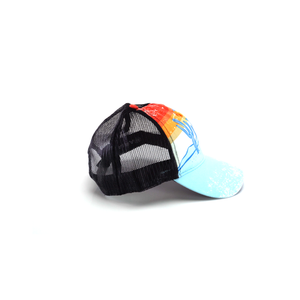 ARIAT Multicolor Desert - Ball Cap | 701340669307
