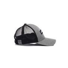 Load image into Gallery viewer, ARIAT Men&#39;s Grey Snapback Logo Cap | 701340711471
